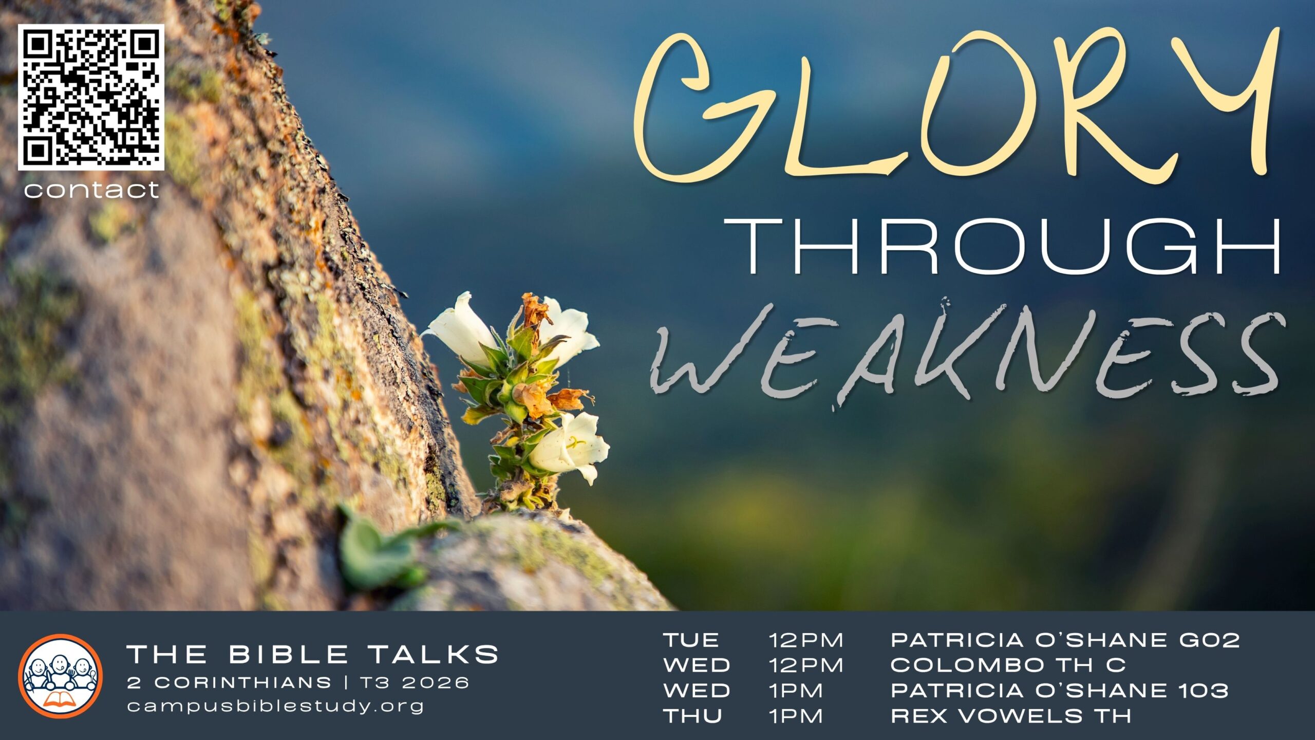 Strength for the Weak Q&A with Tim Rowe episode artwork